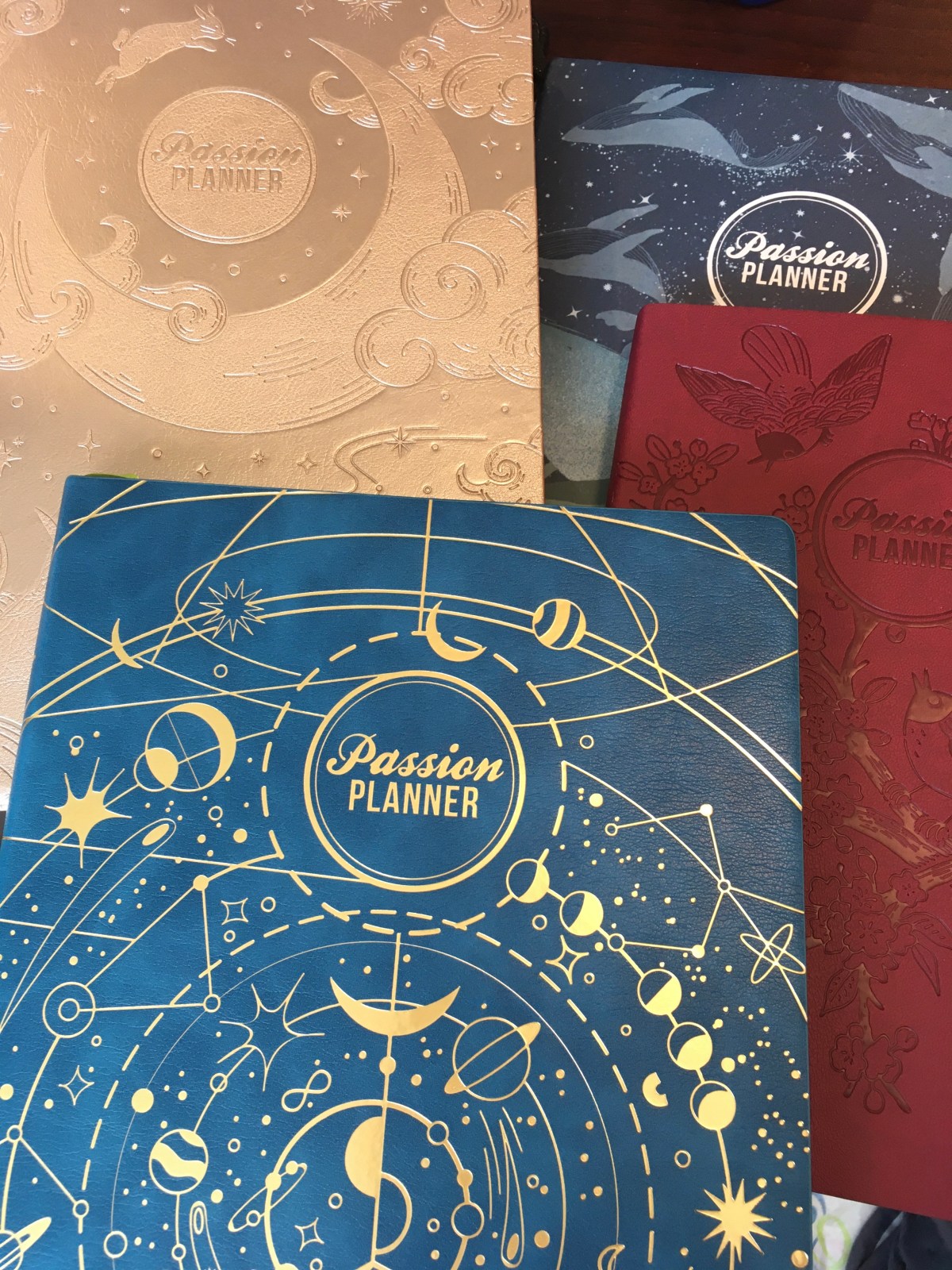 2023 Passion Planner&nbsp;Overview
